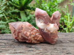 Natural Red Hematoid Phantom Quartz Crystals x 12 From Karoi, Zimbabwe - Toprock Gemstones and Minerals 