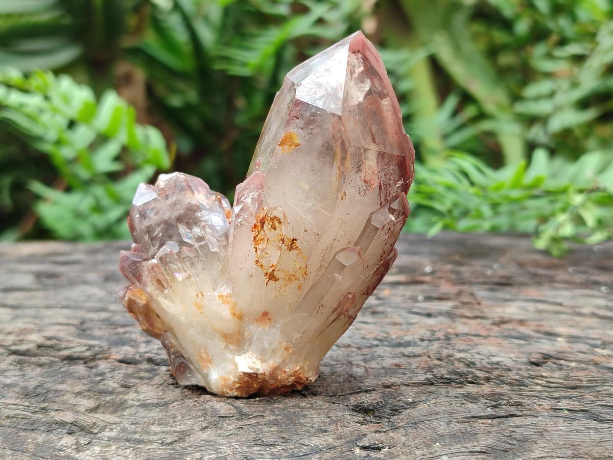 Natural Red Hematoid Phantom Quartz Crystals x 12 From Karoi, Zimbabwe - Toprock Gemstones and Minerals 