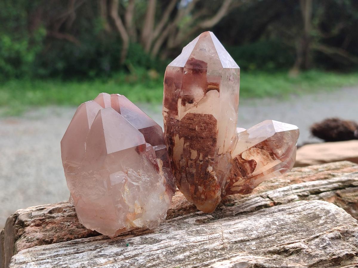Natural Red Hematoid Phantom Quartz Crystals x 12 From Karoi, Zimbabwe - Toprock Gemstones and Minerals 