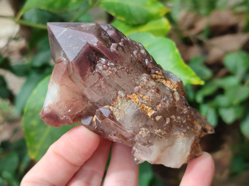Natural Red Hematoid Phantom Quartz Crystals x 12 From Karoi, Zimbabwe - Toprock Gemstones and Minerals 