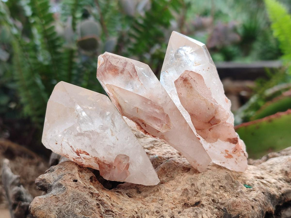 Natural Mpika Quarts Crystals x 35 From Mpika, Zambia - Toprock Gemstones and Minerals 