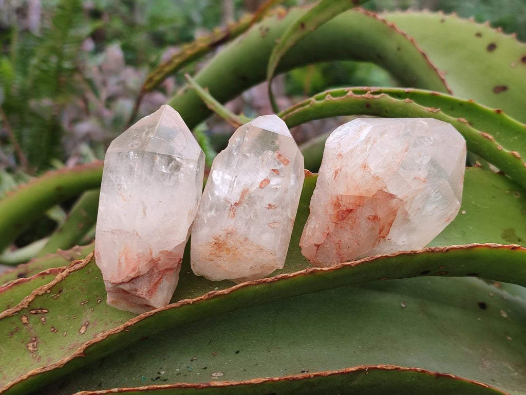 Natural Mpika Quarts Crystals x 35 From Mpika, Zambia - Toprock Gemstones and Minerals 