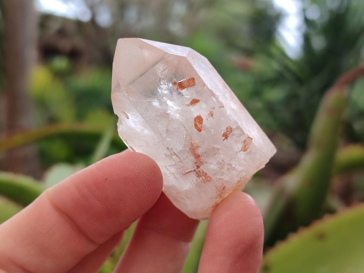 Natural Mpika Quarts Crystals x 35 From Mpika, Zambia - Toprock Gemstones and Minerals 