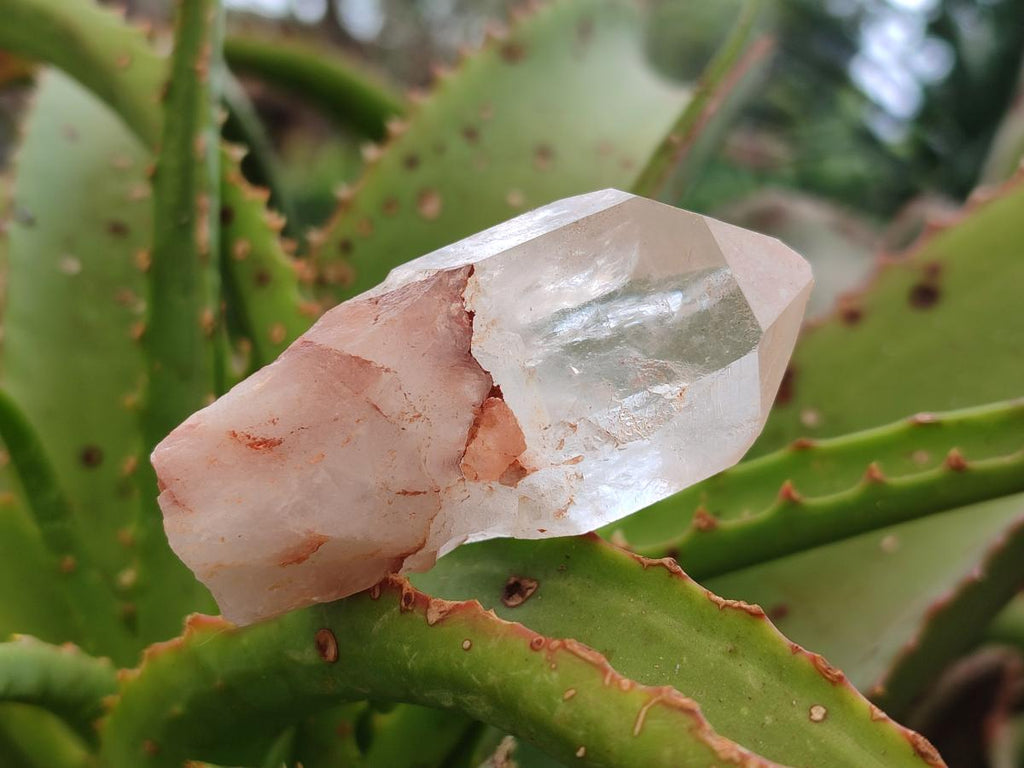 Natural Mpika Quarts Crystals x 35 From Mpika, Zambia - Toprock Gemstones and Minerals 