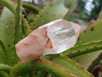 Natural Mpika Quarts Crystals x 35 From Mpika, Zambia - Toprock Gemstones and Minerals 