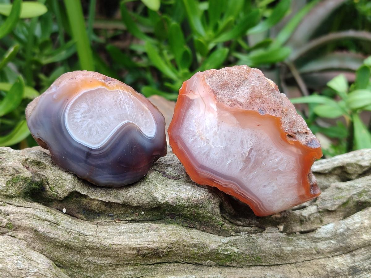 Polished One Side Red Shashe River Agate Nodules x 24 From Shashe River, Zimbabwe - Toprock Gemstones and Minerals 