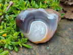 Polished One Side Red Shashe River Agate Nodules x 24 From Shashe River, Zimbabwe - Toprock Gemstones and Minerals 