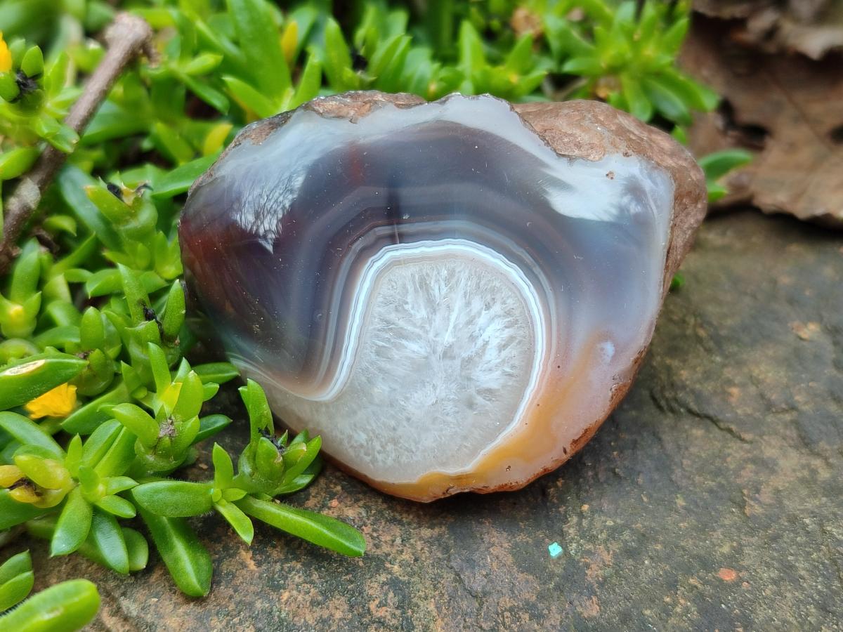Polished One Side Red Shashe River Agate Nodules x 24 From Shashe River, Zimbabwe - Toprock Gemstones and Minerals 