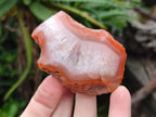 Polished One Side Red Shashe River Agate Nodules x 24 From Shashe River, Zimbabwe - Toprock Gemstones and Minerals 