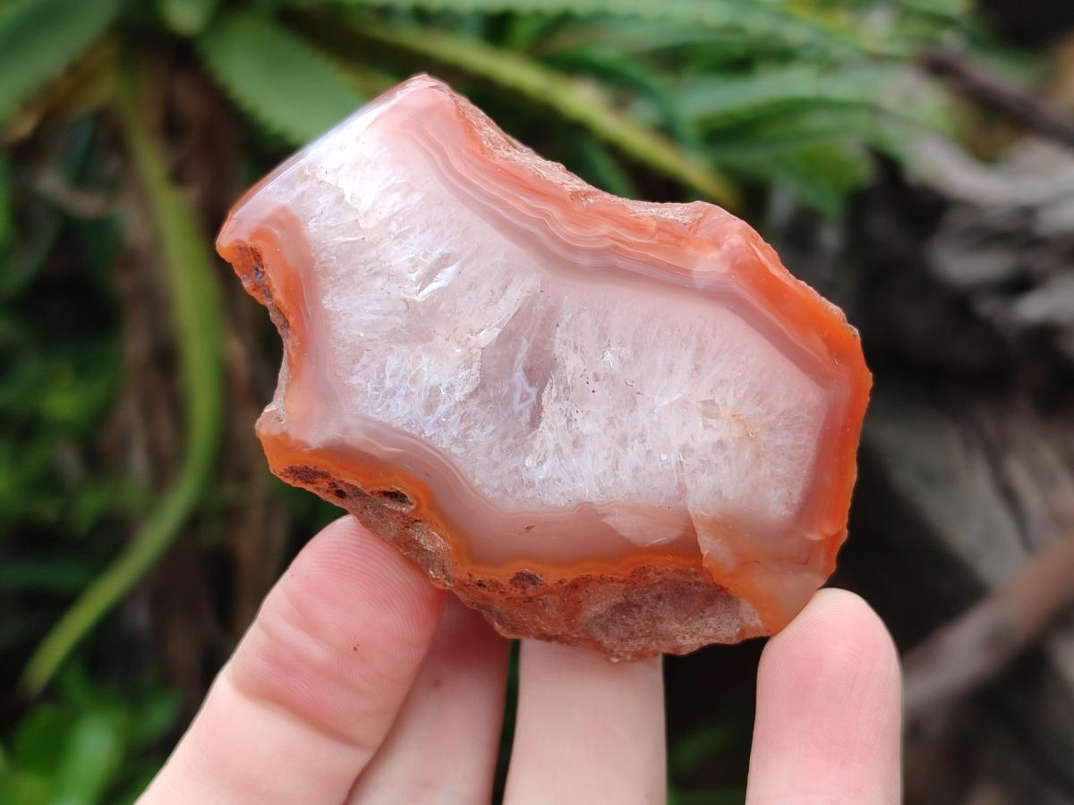 Polished One Side Red Shashe River Agate Nodules x 24 From Shashe River, Zimbabwe - Toprock Gemstones and Minerals 