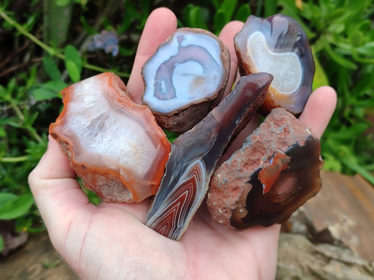 Polished One Side Red Shashe River Agate Nodules x 24 From Shashe River, Zimbabwe - Toprock Gemstones and Minerals 