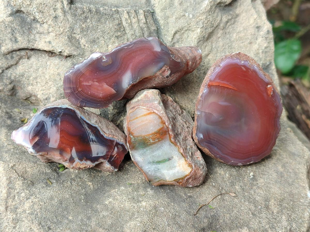 Polished One Side Red Shashe River Agate Nodules x 24 From Shashe River, Zimbabwe - Toprock Gemstones and Minerals 