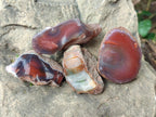 Polished One Side Red Shashe River Agate Nodules x 24 From Shashe River, Zimbabwe - Toprock Gemstones and Minerals 
