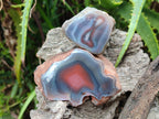 Polished One Side Red Shashe River Agate Nodules x 24 From Shashe River, Zimbabwe - Toprock Gemstones and Minerals 