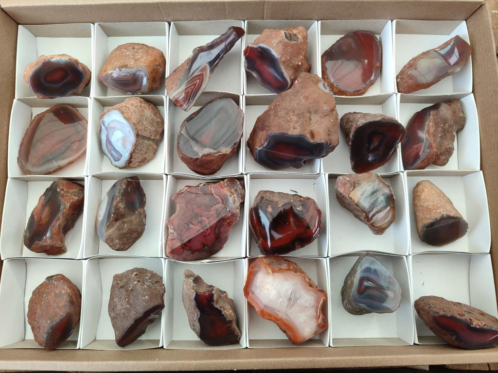 Polished One Side Red Shashe River Agate Nodules x 24 From Shashe River, Zimbabwe - Toprock Gemstones and Minerals 