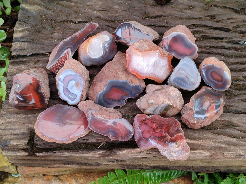 Polished One Side Red Shashe River Agate Nodules x 24 From Shashe River, Zimbabwe - Toprock Gemstones and Minerals 