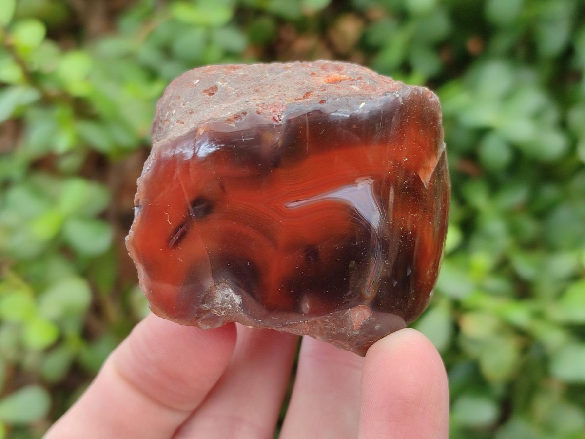 Polished One Side Red Shashe River Agate Nodules x 24 From Shashe River, Zimbabwe - Toprock Gemstones and Minerals 