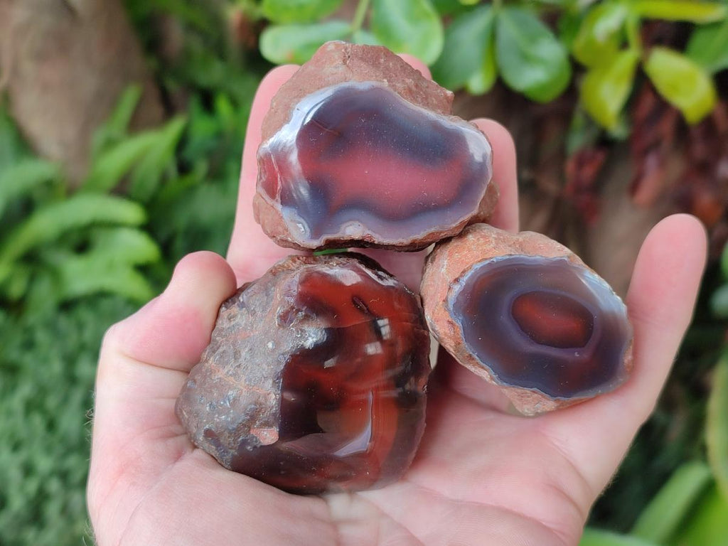 Polished One Side Red Shashe River Agate Nodules x 24 From Shashe River, Zimbabwe - Toprock Gemstones and Minerals 