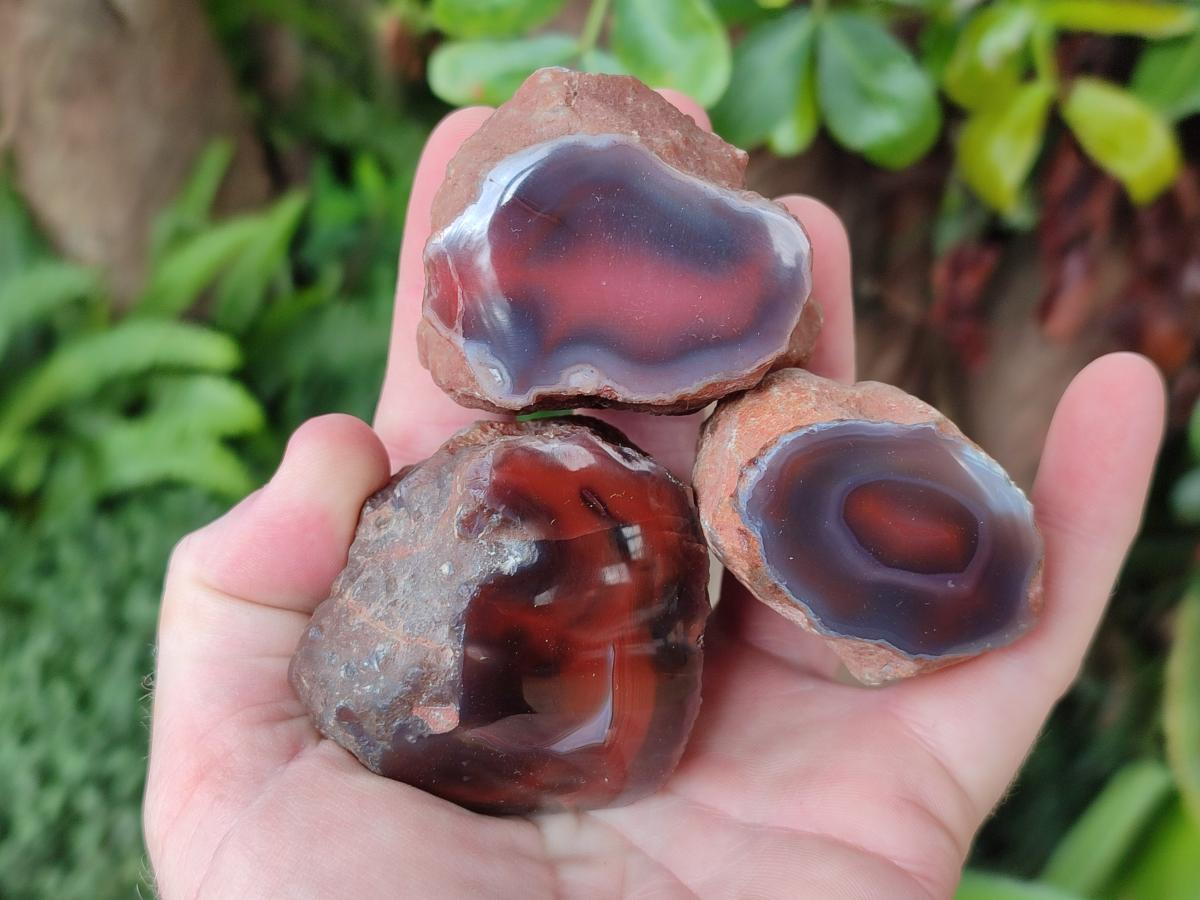 Polished One Side Red Shashe River Agate Nodules x 24 From Shashe River, Zimbabwe - Toprock Gemstones and Minerals 