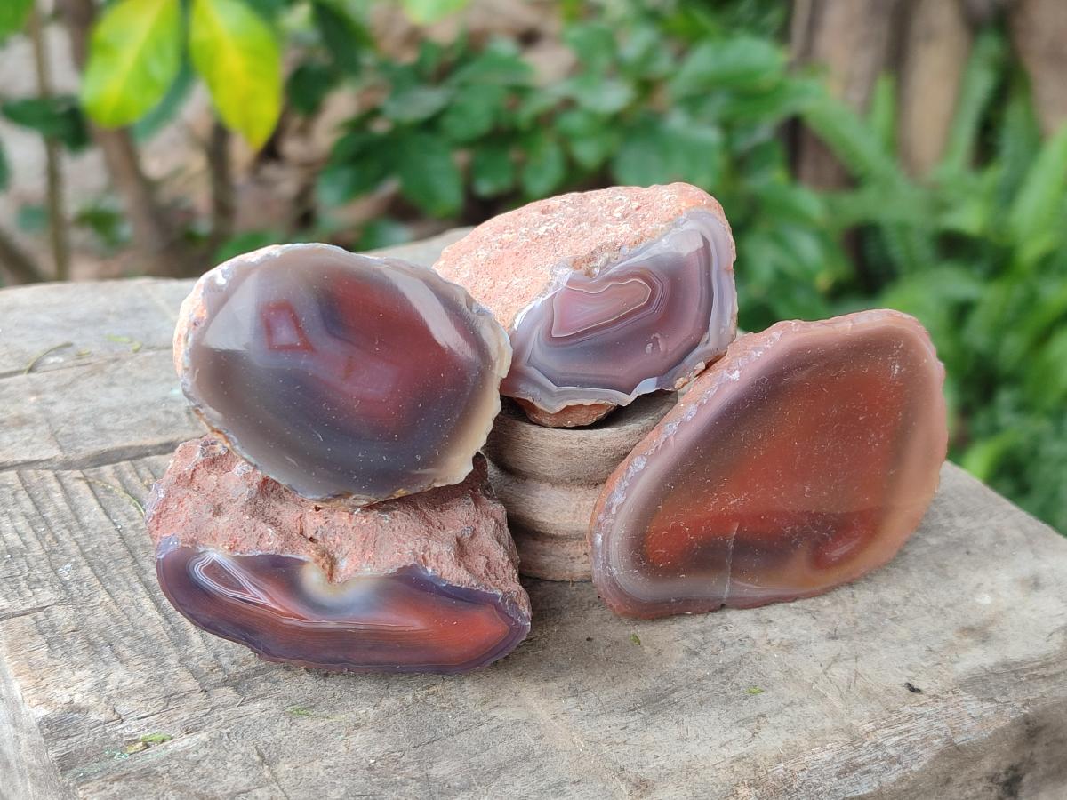 Polished One Side Red Shashe River Agate Nodules x 24 From Shashe River, Zimbabwe - Toprock Gemstones and Minerals 