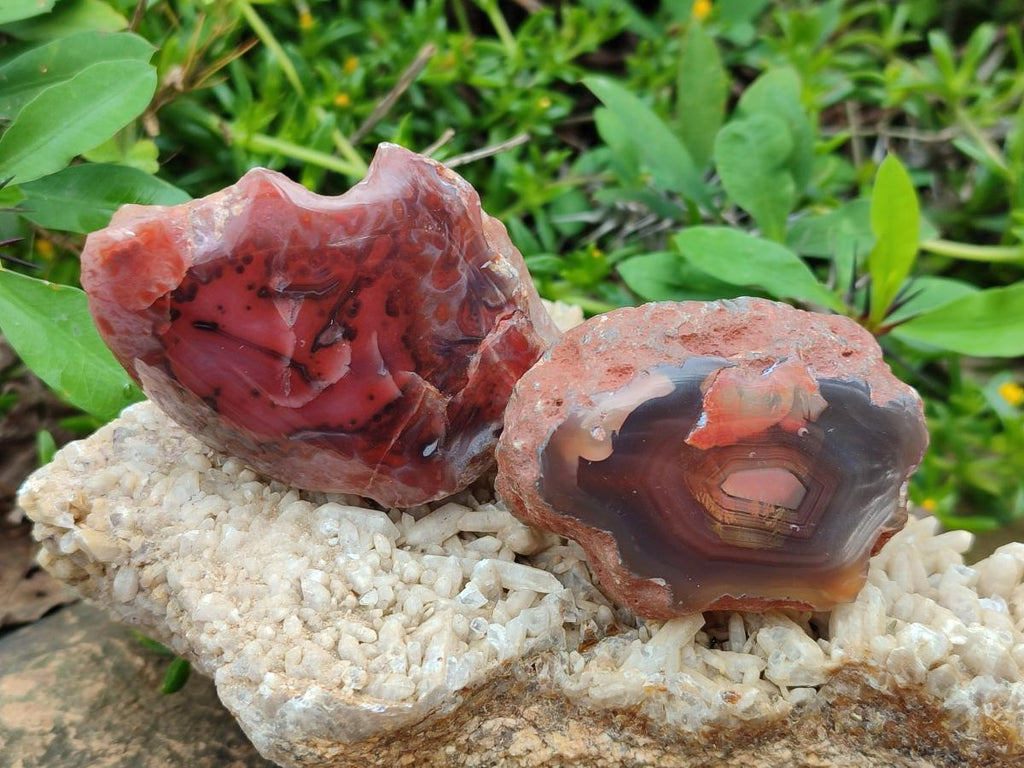 Polished One Side Red Shashe River Agate Nodules x 24 From Shashe River, Zimbabwe - Toprock Gemstones and Minerals 