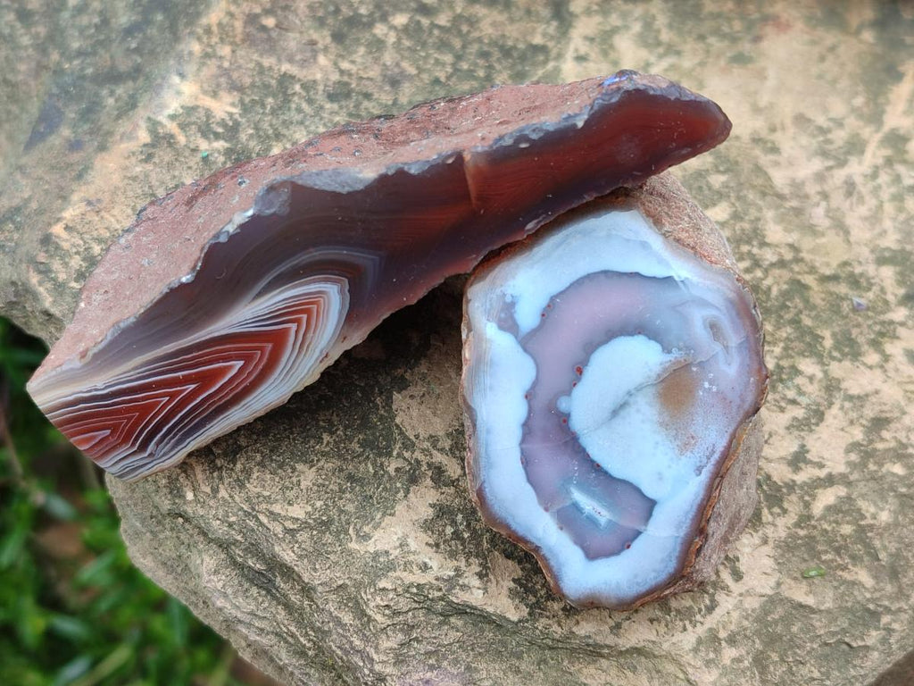 Polished One Side Red Shashe River Agate Nodules x 24 From Shashe River, Zimbabwe - Toprock Gemstones and Minerals 