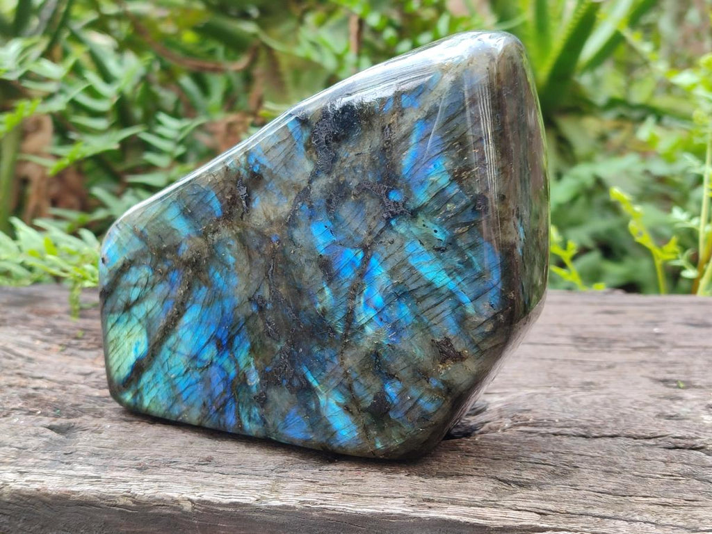 Polished Large Labradorite Standing Display Piece x 1 From Madagascar - Toprock Gemstones and Minerals 