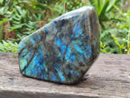 Polished Large Labradorite Standing Display Piece x 1 From Madagascar - Toprock Gemstones and Minerals 