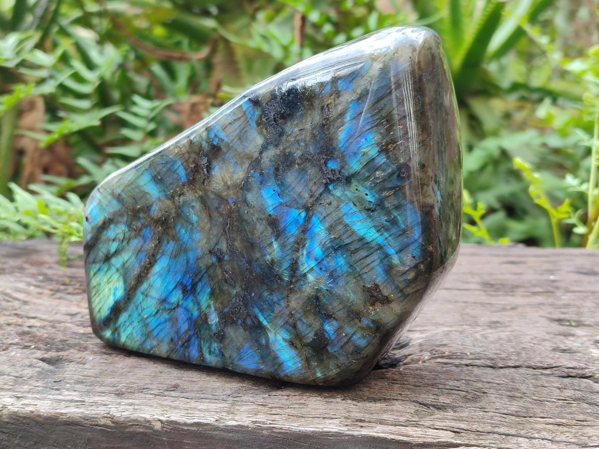 Polished Large Labradorite Standing Display Piece x 1 From Madagascar - Toprock Gemstones and Minerals 