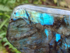 Polished Large Labradorite Standing Display Piece x 1 From Madagascar - Toprock Gemstones and Minerals 
