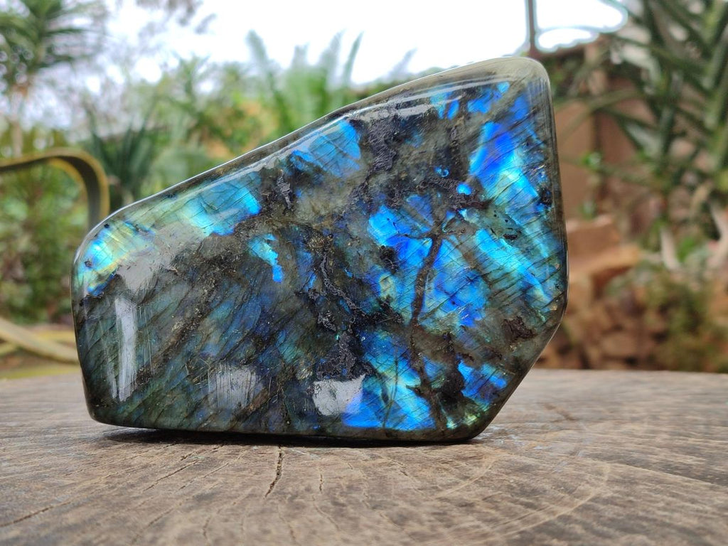 Polished Large Labradorite Standing Display Piece x 1 From Madagascar - Toprock Gemstones and Minerals 