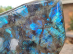 Polished Large Labradorite Standing Display Piece x 1 From Madagascar - Toprock Gemstones and Minerals 