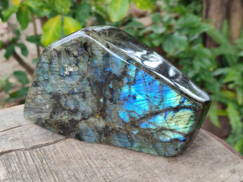 Polished Large Labradorite Standing Display Piece x 1 From Madagascar - Toprock Gemstones and Minerals 