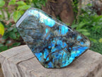 Polished Large Labradorite Standing Display Piece x 1 From Madagascar - Toprock Gemstones and Minerals 