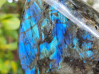 Polished Large Labradorite Standing Display Piece x 1 From Madagascar - Toprock Gemstones and Minerals 