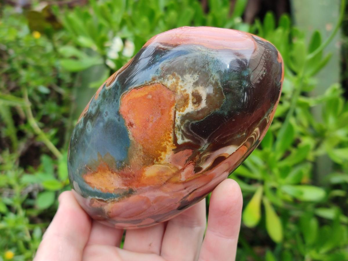 Polished On One Side Polychrome Jasper Nodules x 6 From NW Coast, Madagascar - Toprock Gemstones and Minerals 