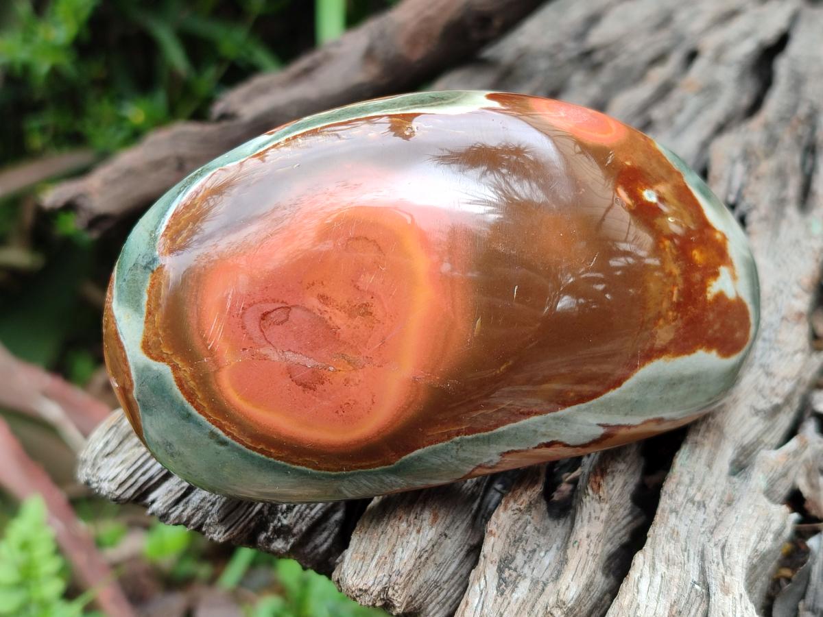 Polished On One Side Polychrome Jasper Nodules x 6 From NW Coast, Madagascar - Toprock Gemstones and Minerals 