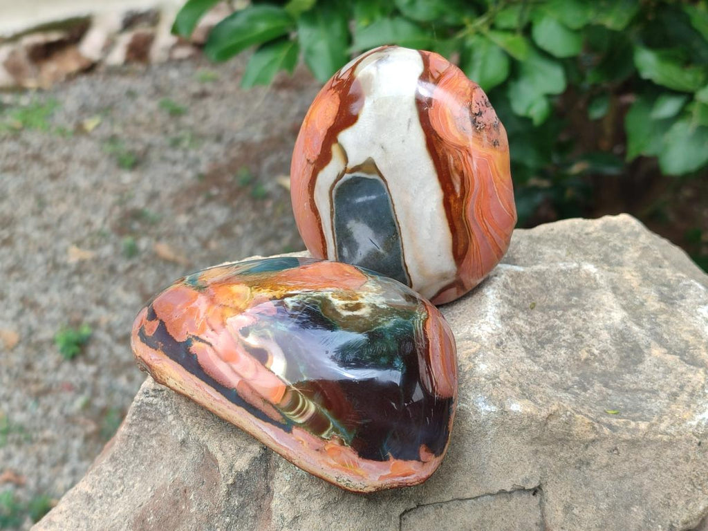 Polished On One Side Polychrome Jasper Nodules x 6 From NW Coast, Madagascar - Toprock Gemstones and Minerals 