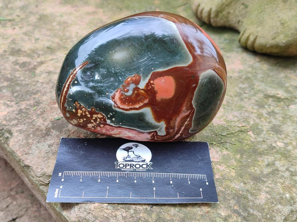 Polished On One Side Polychrome Jasper Nodules x 6 From NW Coast, Madagascar - Toprock Gemstones and Minerals 