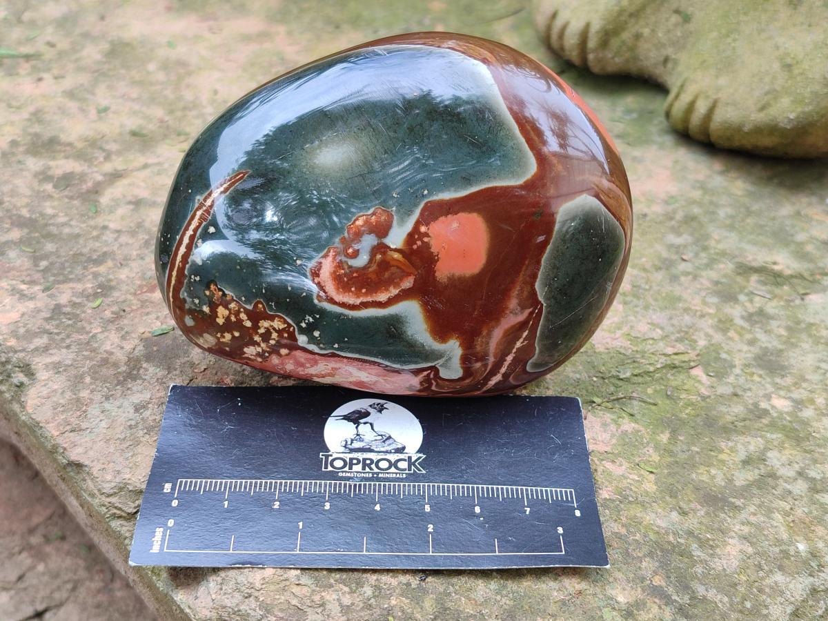 Polished On One Side Polychrome Jasper Nodules x 6 From NW Coast, Madagascar - Toprock Gemstones and Minerals 