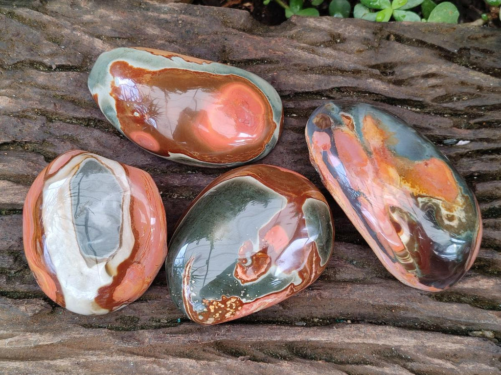 Polished On One Side Polychrome Jasper Nodules x 6 From NW Coast, Madagascar - Toprock Gemstones and Minerals 