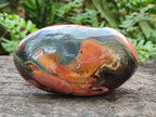 Polished On One Side Polychrome Jasper Nodules x 6 From NW Coast, Madagascar - Toprock Gemstones and Minerals 