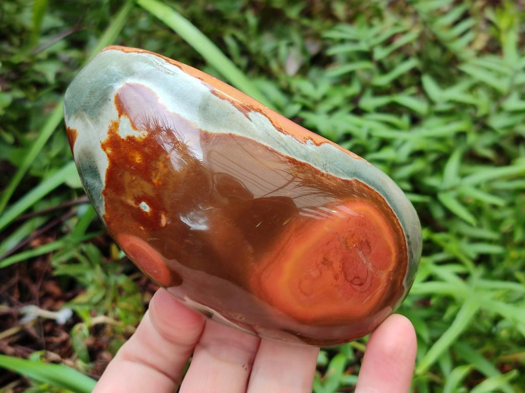 Polished On One Side Polychrome Jasper Nodules x 6 From NW Coast, Madagascar - Toprock Gemstones and Minerals 