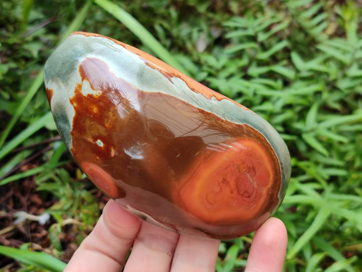 Polished On One Side Polychrome Jasper Nodules x 6 From NW Coast, Madagascar - Toprock Gemstones and Minerals 