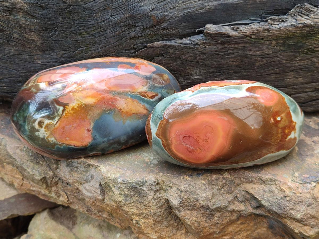 Polished On One Side Polychrome Jasper Nodules x 6 From NW Coast, Madagascar - Toprock Gemstones and Minerals 
