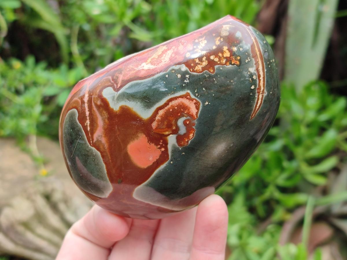 Polished On One Side Polychrome Jasper Nodules x 6 From NW Coast, Madagascar - Toprock Gemstones and Minerals 