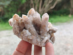 Natural Smokey Spirit Quartz Clusters with Hematoid Coating x 4 From Boekenhouthoek, South Africa - Toprock Gemstones and Minerals 
