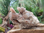 Natural Smokey Spirit Quartz Clusters with Hematoid Coating x 4 From Boekenhouthoek, South Africa - Toprock Gemstones and Minerals 