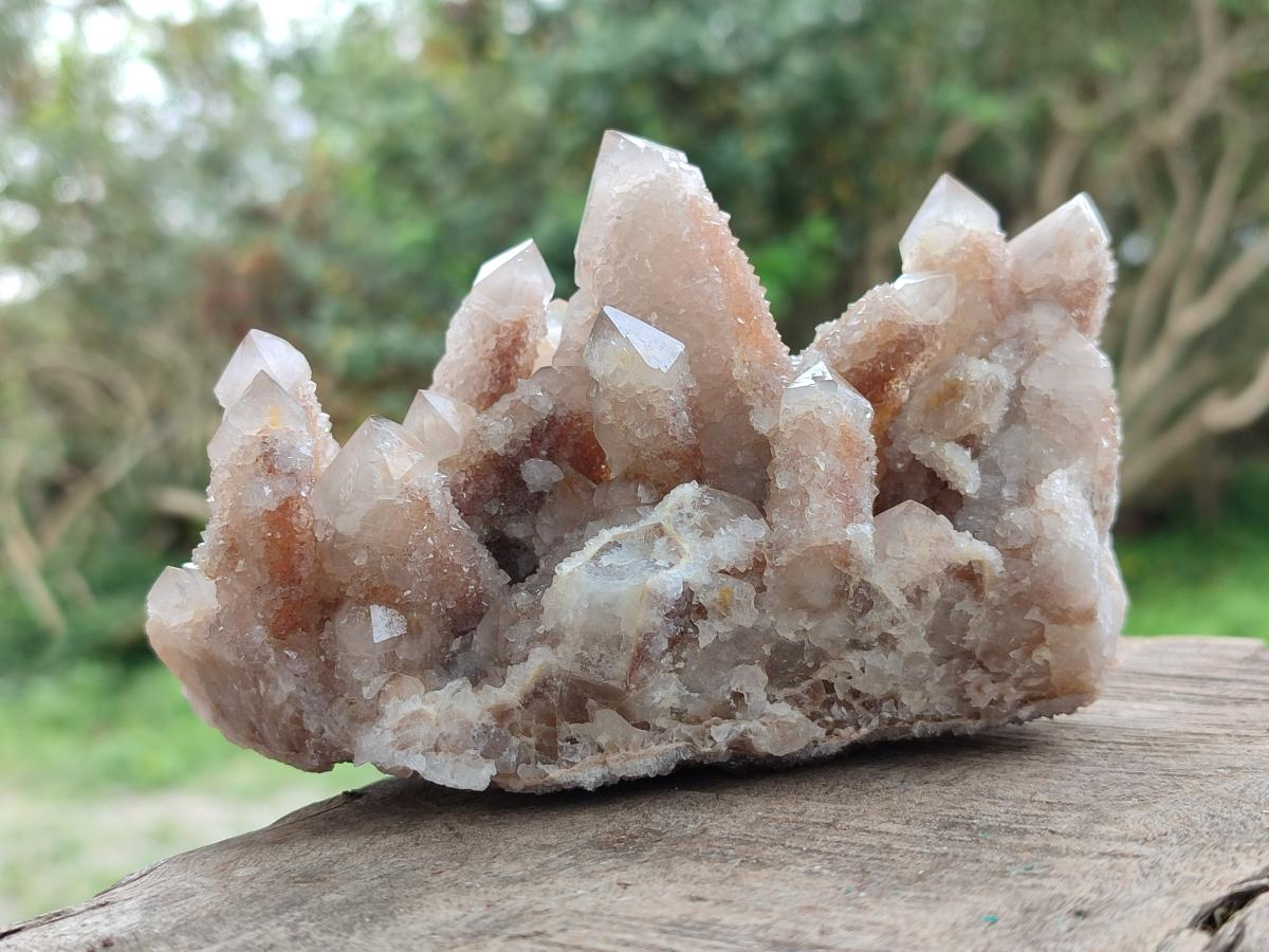 Natural Smokey Spirit Quartz Clusters with Hematoid Coating x 4 From Boekenhouthoek, South Africa - Toprock Gemstones and Minerals 