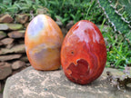 Polished Carnelian Agate Gemstone Standing Display Pieces x 2 From Madagascar - Toprock Gemstones and Minerals 